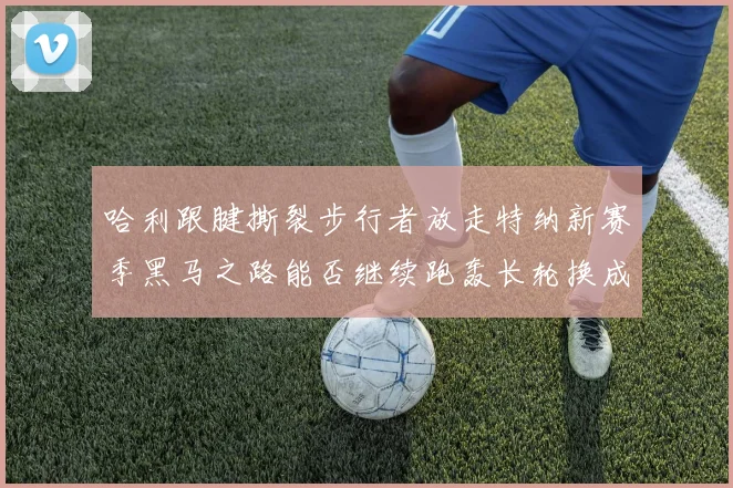 哈利跟腱撕裂步行者放走特纳新赛季黑马之路能否继续跑轰长轮换成关键