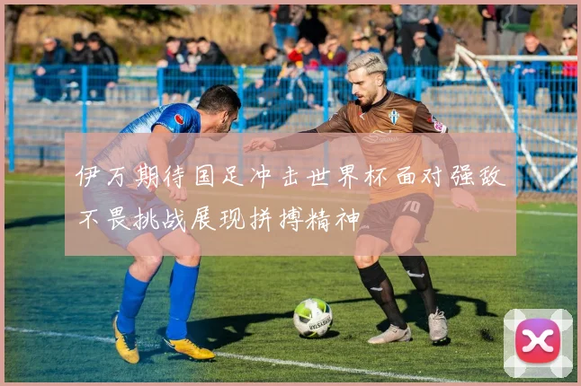 伊万期待国足冲击世界杯面对强敌不畏挑战展现拼搏精神