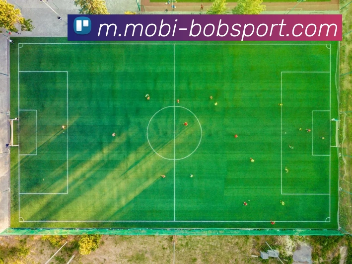 BOB体育APP 封面图