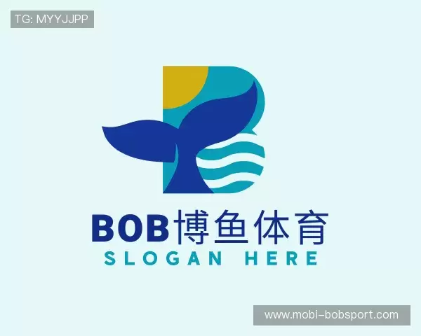 了解BOB体育